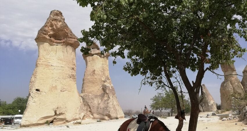 Best’s of Turkey Tour